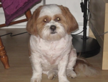 Heidi 001
