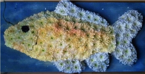 Wildlife Fish 04