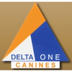 Logo Logo
