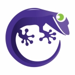 So Gecko