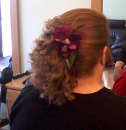 Photo0002 1