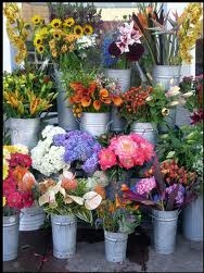 Flowers For All Occasions