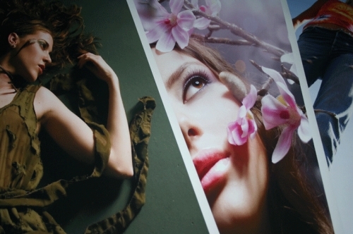 Dior Poster 2