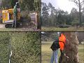 http   www touchlocal com business list bid 3863826 We provide clients with a comprehensive tree surgery and consultancy service