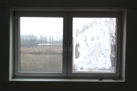 Misted window