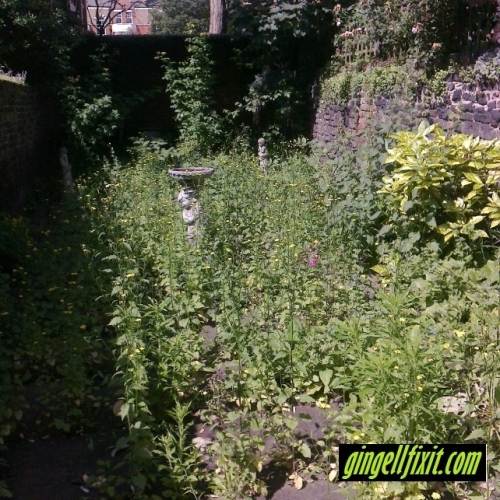 Garden Before