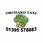 Orchard Taxi - taxis