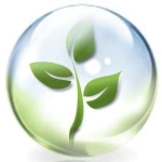 The Evolutions Clinic - beauty therapy