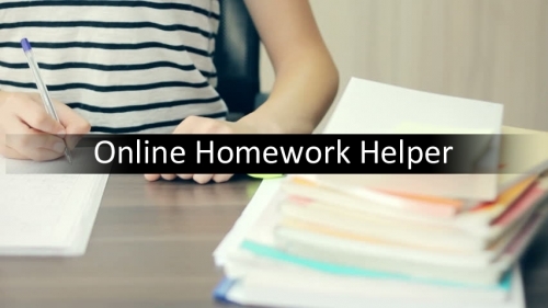 24 hour online homework help