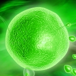 this is my: fertility monitoring service in Hull