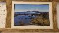 Picture Bute (incorporating PhotoPrints.tv) is a large shop and workshop situated by the harbour on the beautiful Isle of Bute, Scotland. It is owned and run by local wildlife photographer Philip Kirkham and his wife Anne.