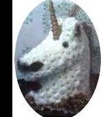 Unicorn 01