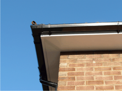 Plain Fascia & Soffit with Black Square line gutter and round Downpipe
