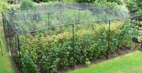 Fruit cage
