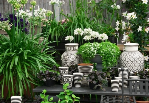 Beautiful Arrangement Of Plants And Black And White Ceramics In A Flower Shop