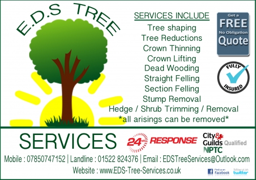 E.D.S Tree Services flyer