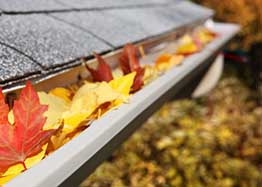 Do you have Blocked Gutters?