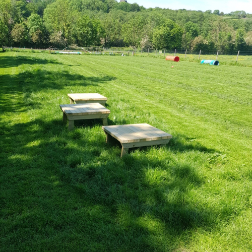 Gilberts Gallop Secure Dog Walking Field Hire