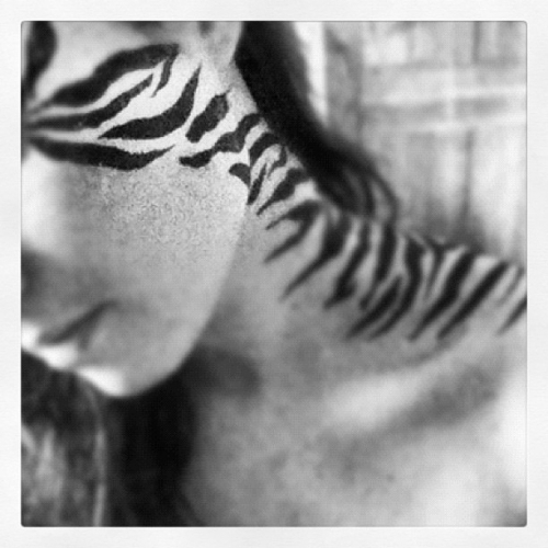 Zebra Print