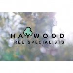 Haywood Tree Specialists
