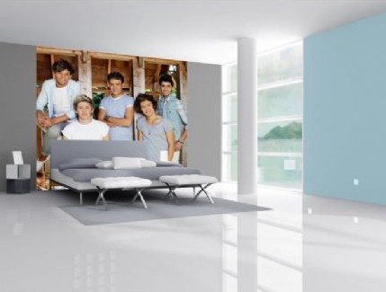 One Direction Wallpaper Mural Collection - 5 great designs