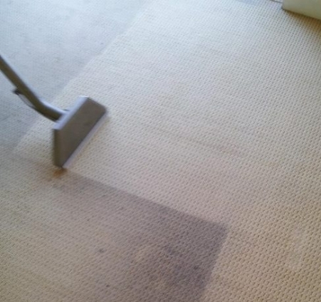 Carpet Cleaning Pictures 006