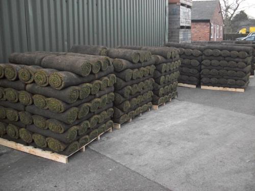 Pallets of turf ready for dispatch