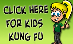 Kids Kung Fu