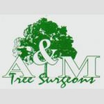 A & M Tree Surgeons