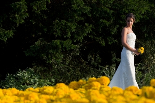 Bride walks in flowers