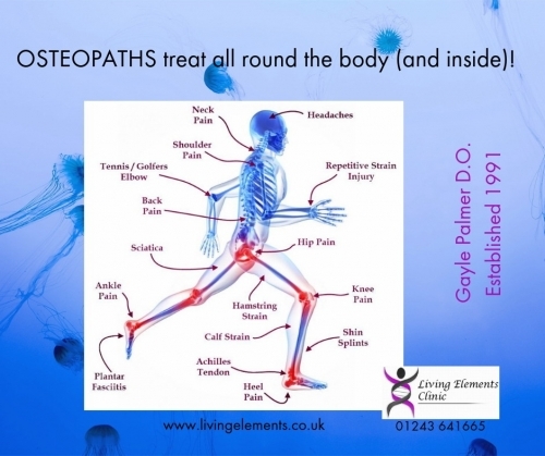 Osteopaths treat all round the Body! Gayle Palmer D.O. OSTEOPATH - https://living-elements-clinic.cliniko.com/bookings