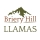 Briery Hill Llamas