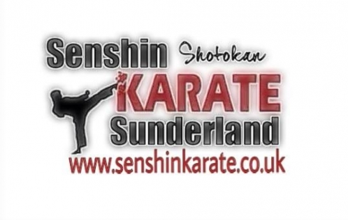 Blur Karate Logo Senshin