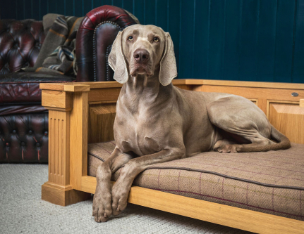 The Fraser Solid Oak Handmade Dog Bed. Available in Small, Medium and Large