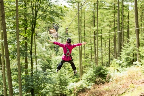 Zip Trekking at Grizedale Forest