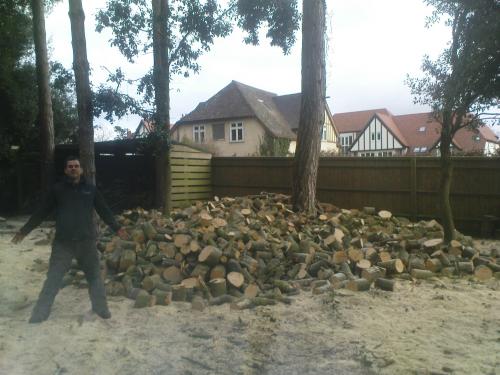 Logging felled timber