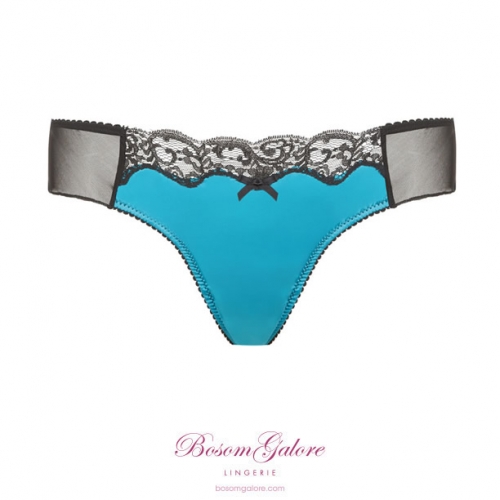 Classique in Teal Knickers