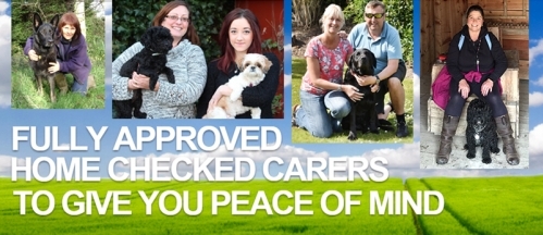 Fully Approved Carers