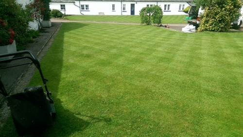 Lawn mowing and grass cutting