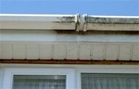 Before And After Gutter Clean