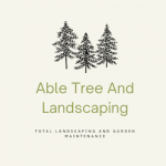 Able Trees And Landscapes Bristol