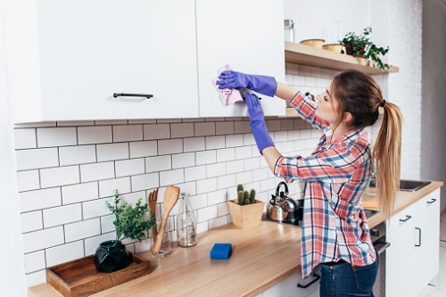 Commercial Cleaning and House Cleaning