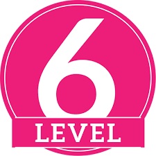 Level 6 Diploma in Career Guidance and Development