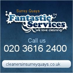 Fantastic Services Surrey Quays