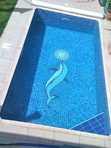 Small swimming pool with mosaic tiles and dolphin feature.