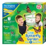 Insect Lore Butterfly Kit