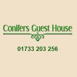 The Conifers Guest House