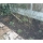 Growing Garden of Endon